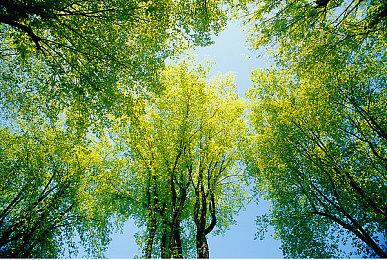 科幻魂类游戏《杜蒙》5月20日发售 Xbox版支持光追和跨平台